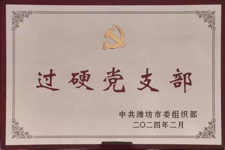 喜报！诸城法院立案庭党支部被潍坊市委组织部评为“过硬党支部”！